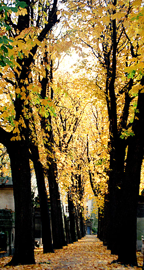 Pere_Lachaise_12_72.jpg